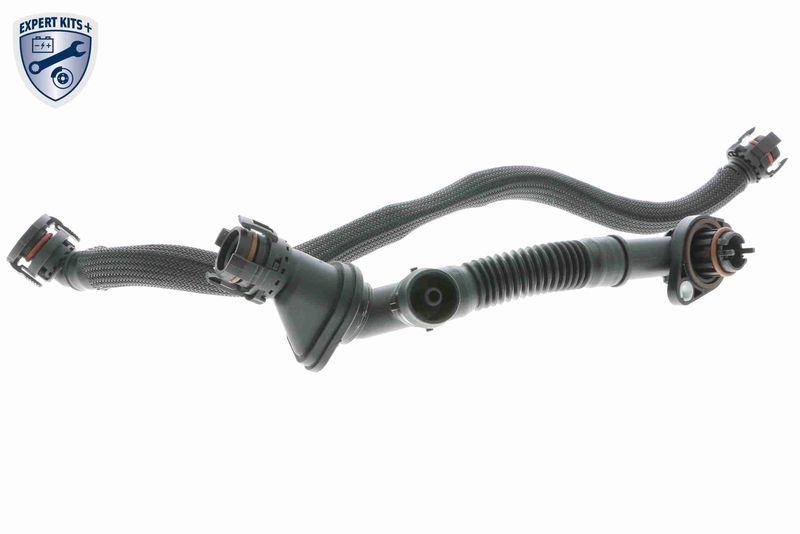 VAICO Repair Set, crankcase breather EXPERT KITS +