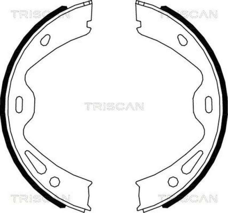 TRISCAN Brake Shoe Set, parking brake