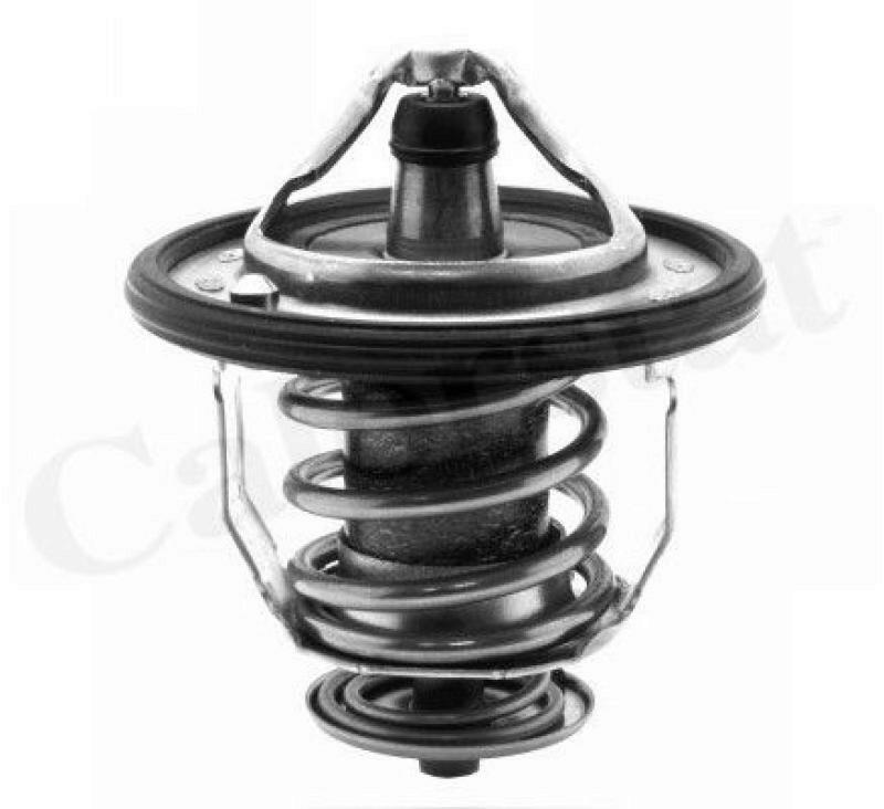 CALORSTAT by Vernet Thermostat, coolant