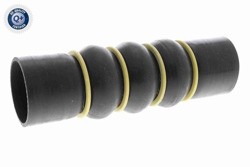 VAICO Charger Air Hose Original VAICO Quality
