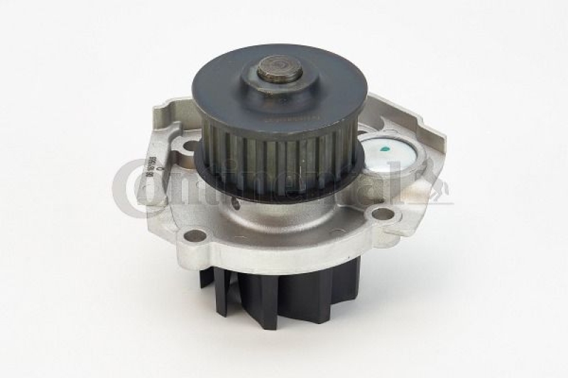 CONTINENTAL CTAM Water Pump, engine cooling