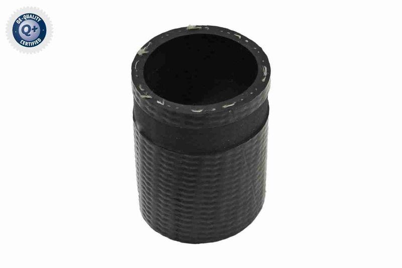 VAICO Charger Air Hose Q+, original equipment manufacturer quality