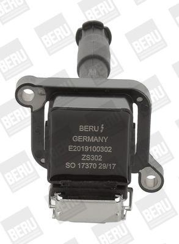 BorgWarner (BERU) Ignition Coil