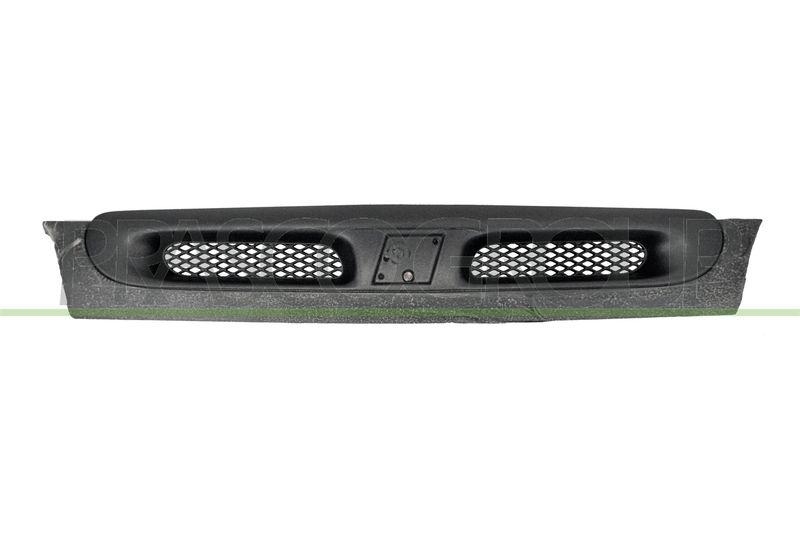 Radiator Grille