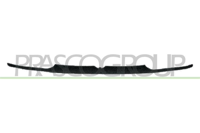 Cover, radiator grille