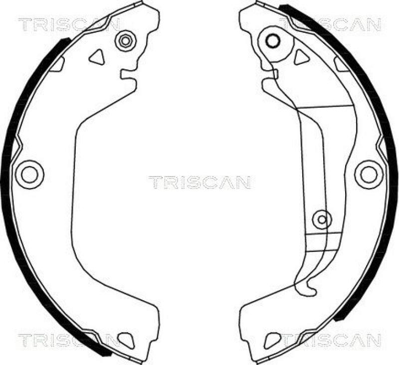 TRISCAN Bremsbackensatz 8100 21002