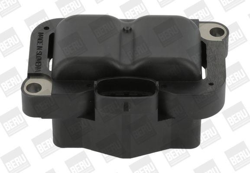 BorgWarner (BERU) Ignition Coil