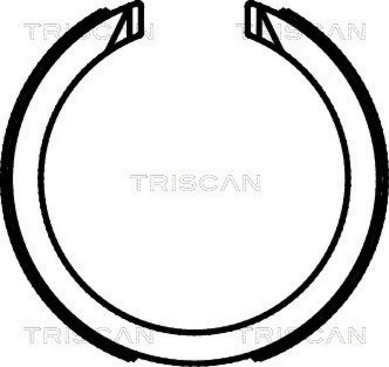 TRISCAN Brake Shoe Set, parking brake