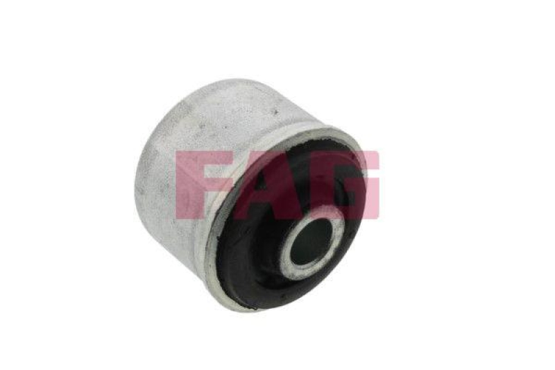 Schaeffler FAG Lagerung, Lenker