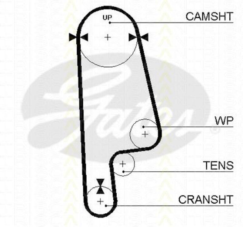 TRISCAN Timing Belt