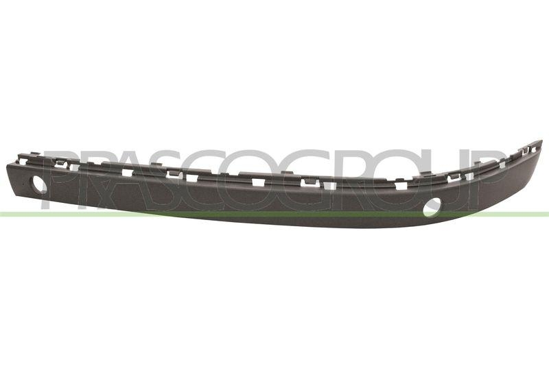 Trim/Protective Strip, bumper