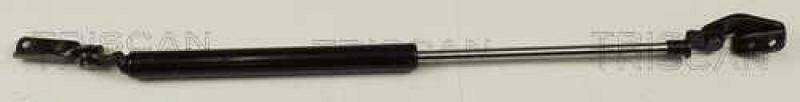 TRISCAN Gas Spring, boot-/cargo area