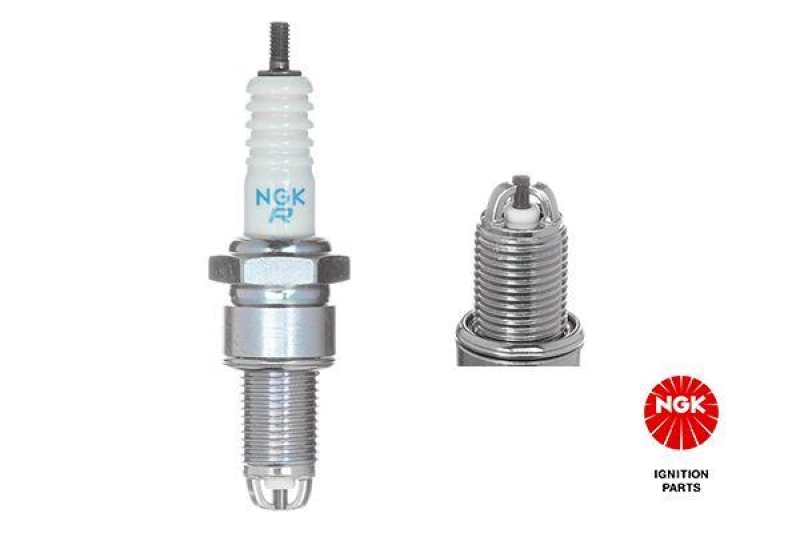 NGK Spark Plug