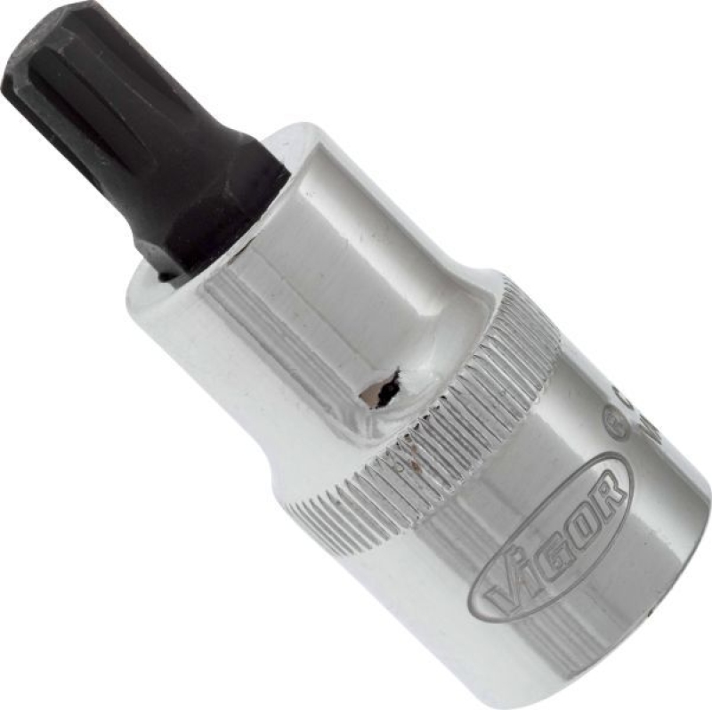 VIGOR Socket