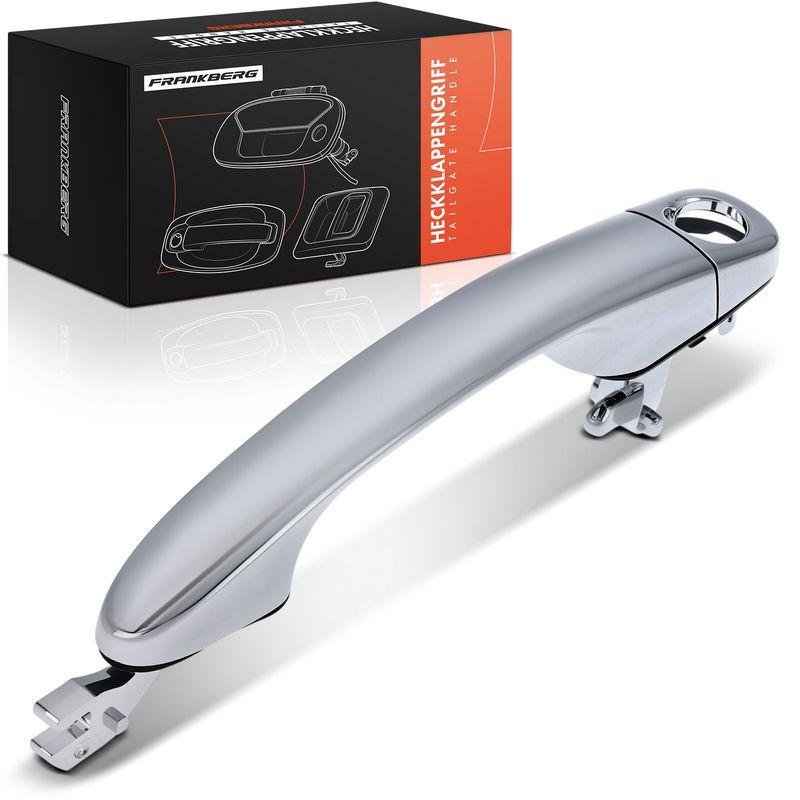 1x Frankberg T&uuml;rgriff Vorne Links au&szlig;en 5481FB0045572