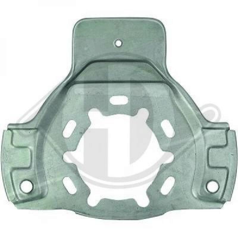 DIEDERICHS Splash Panel, brake disc