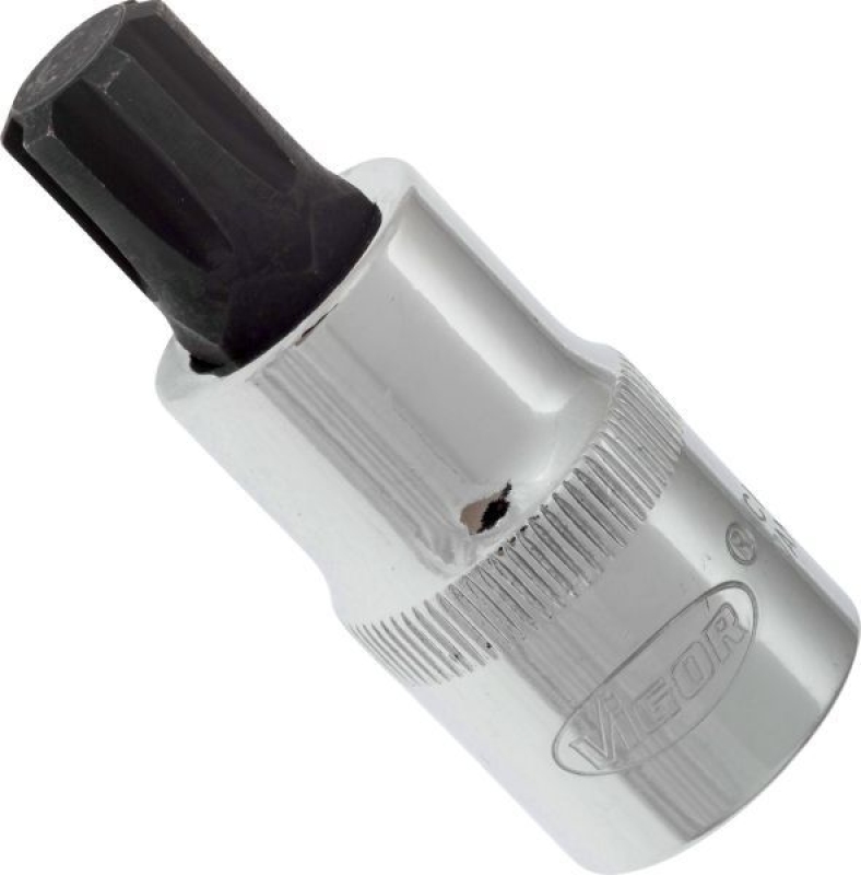VIGOR Socket