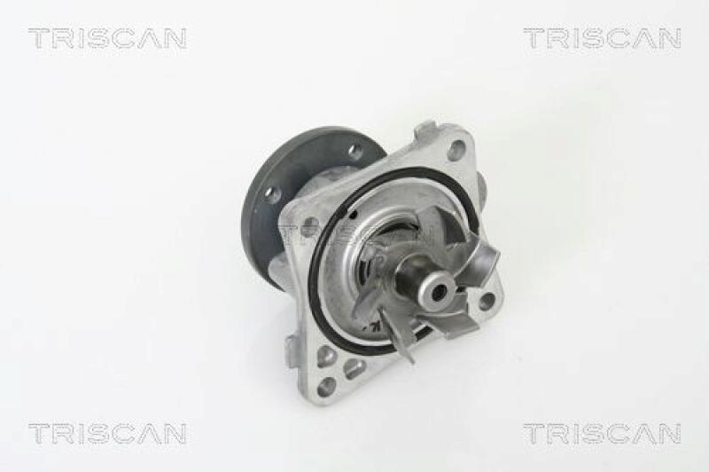 TRISCAN Water Pump