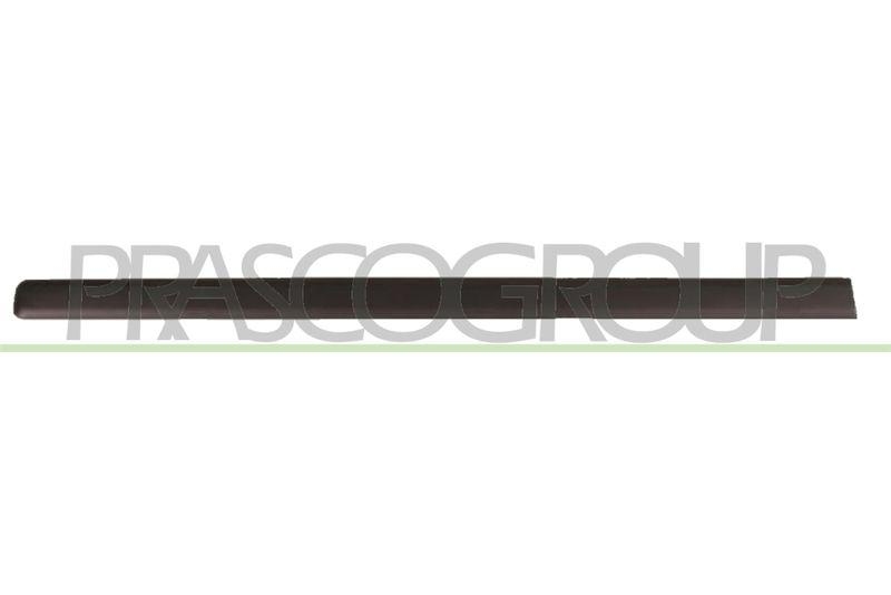 Trim/Protective Strip, door