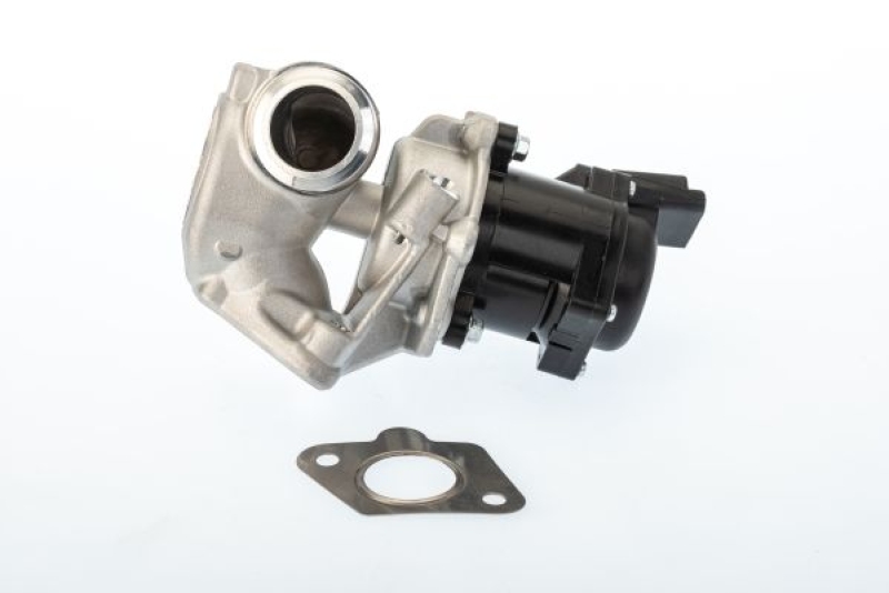 BorgWarner (Wahler) AGR-Ventil