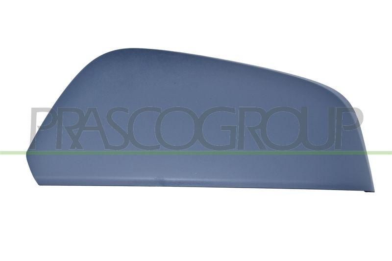 PRASCO Abdeckung, Außenspiegel