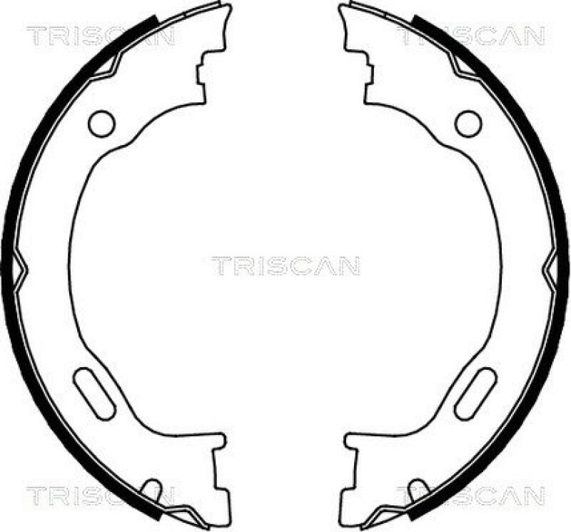 TRISCAN Brake Shoe Set, parking brake