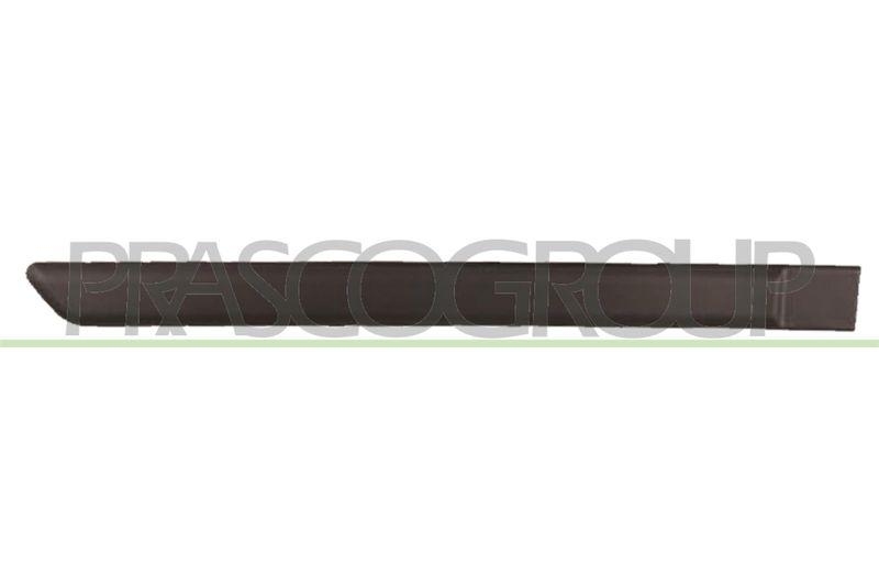 Trim/Protective Strip, door