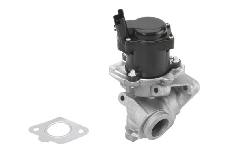 BorgWarner (Wahler) EGR Valve