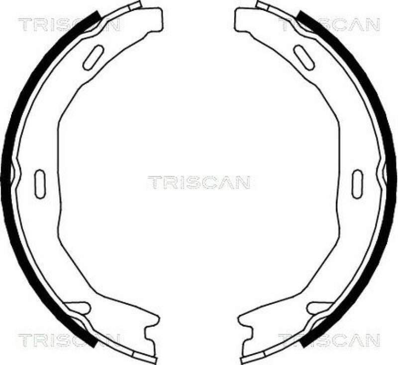 TRISCAN Brake Shoe Set, parking brake