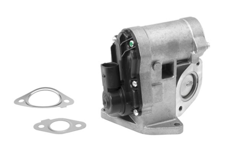 BorgWarner (Wahler) EGR Valve