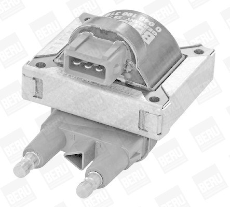 BorgWarner (BERU) Ignition Coil