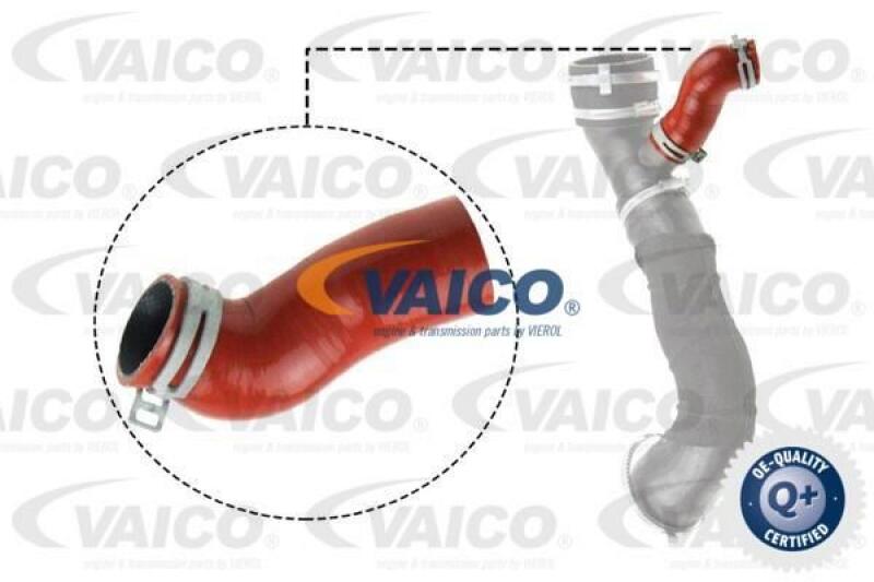 VAICO Charger Air Hose Q+, original equipment manufacturer quality