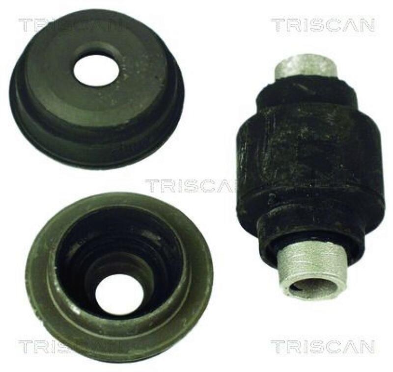 TRISCAN Suspension Kit