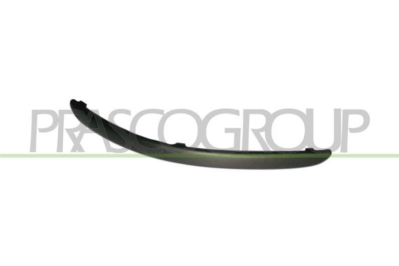 Trim/Protective Strip, bumper Premium