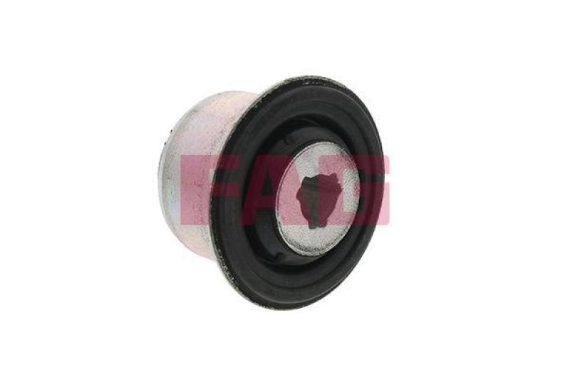 Schaeffler FAG Lagerung, Lenker