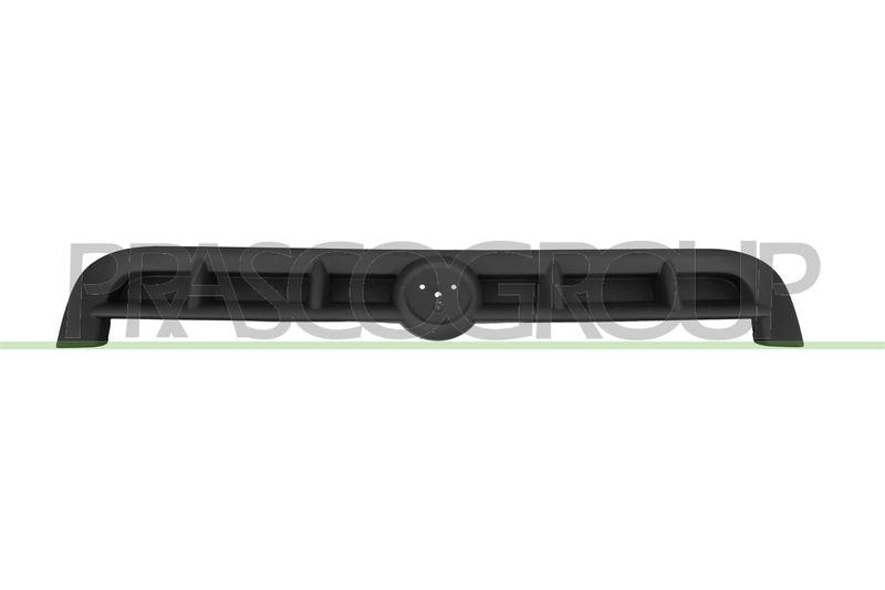 Radiator Grille