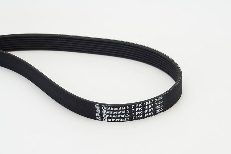 CONTINENTAL CTAM V-Ribbed Belt