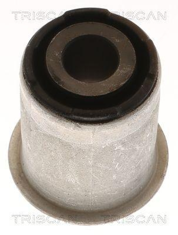 TRISCAN Lagerung, Lenker