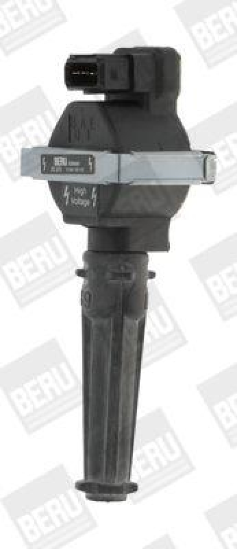 BorgWarner (BERU) Zündspule ZS323