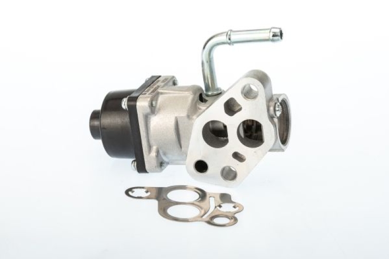 BorgWarner (Wahler) AGR-Ventil