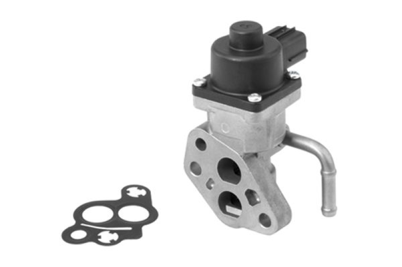 BorgWarner (Wahler) EGR Valve