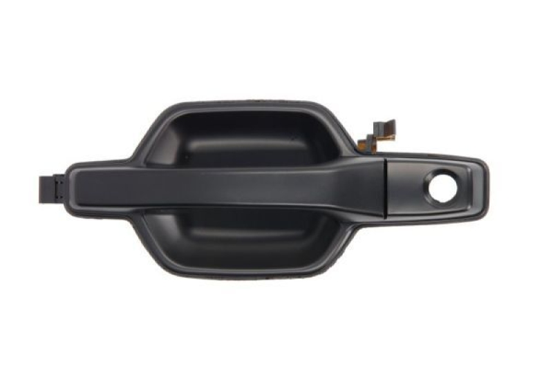 BLIC Door Handle