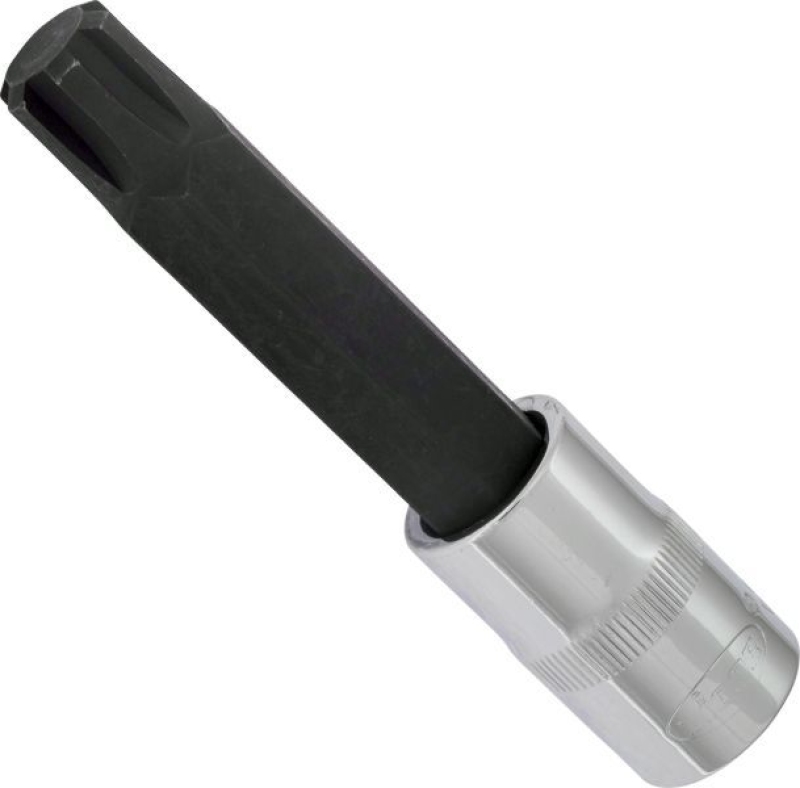 VIGOR Socket