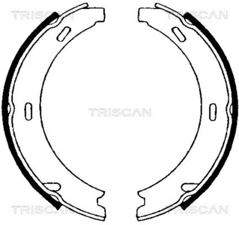 TRISCAN Brake Shoe Set, parking brake