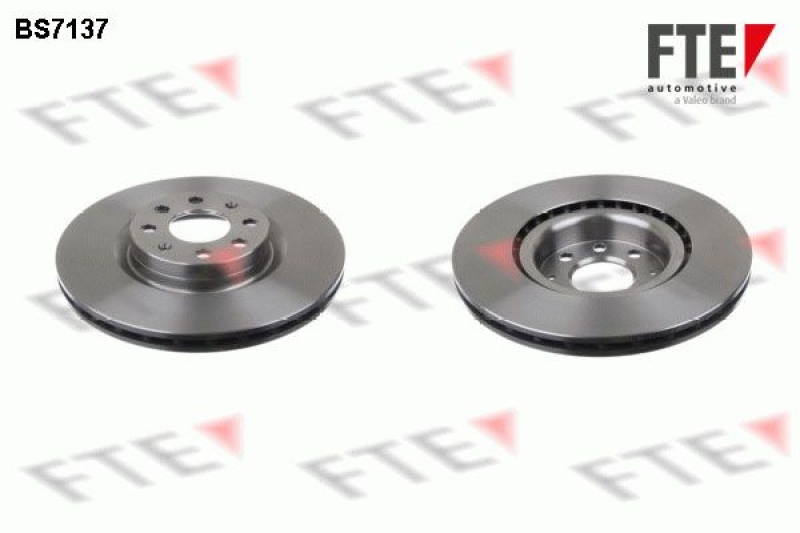 2x FTE Brake Disc