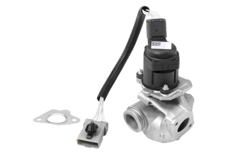 BorgWarner (Wahler) EGR Valve