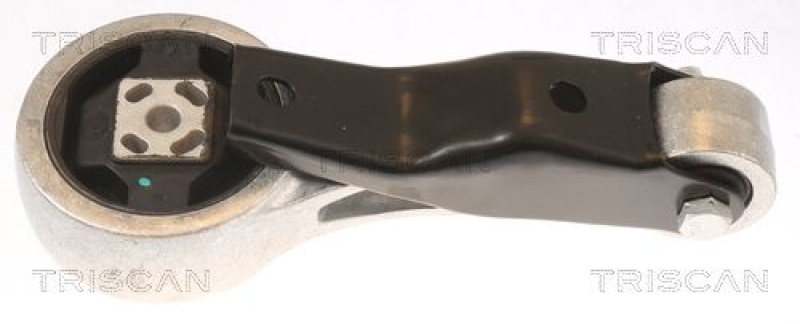TRISCAN Mounting, engine
