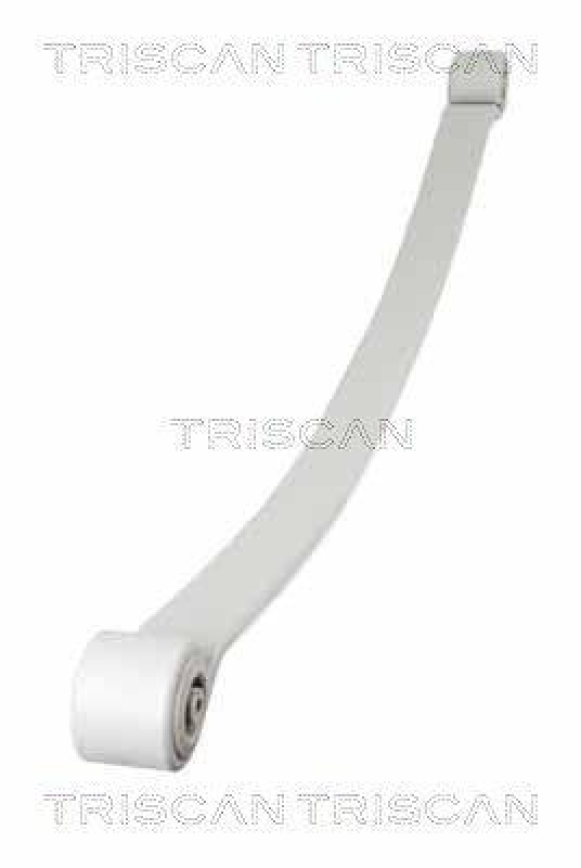 TRISCAN Blattfeder