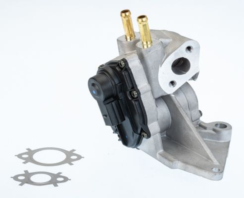 BorgWarner (Wahler) AGR-Ventil 710937D/1