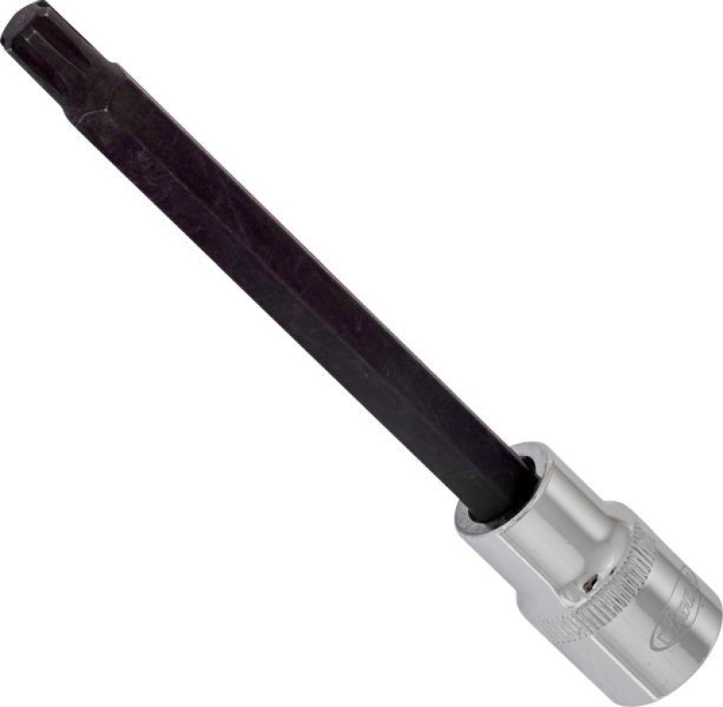 VIGOR Socket
